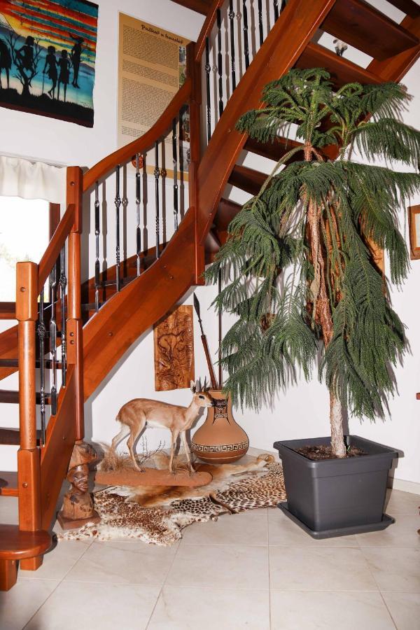 Apartman U Vagnera Dvůr Králové nad Labem 외부 사진